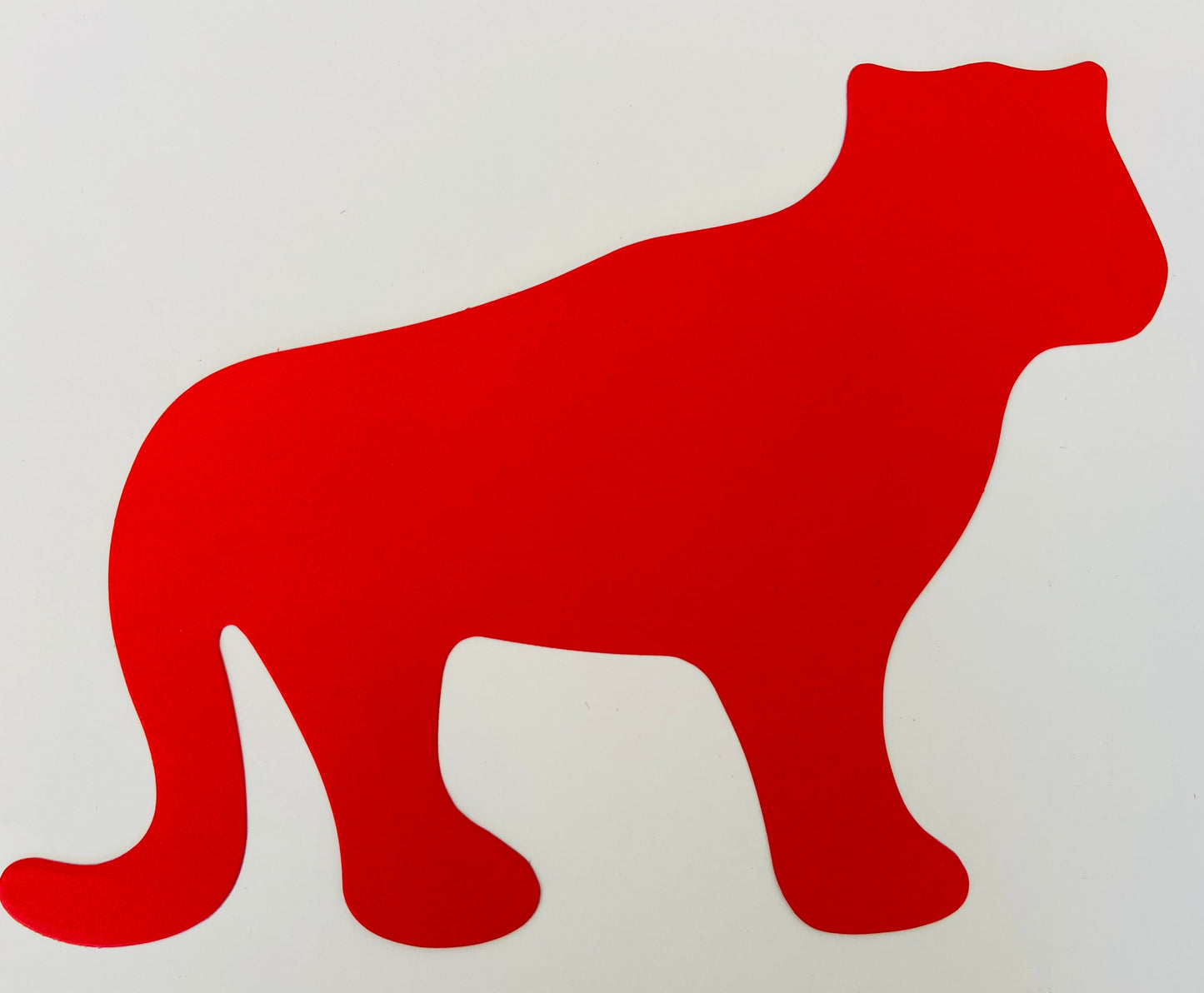 SHAPES ETC. Tiger Assorted Color Super Cut-Outs- 8” x 10”-2