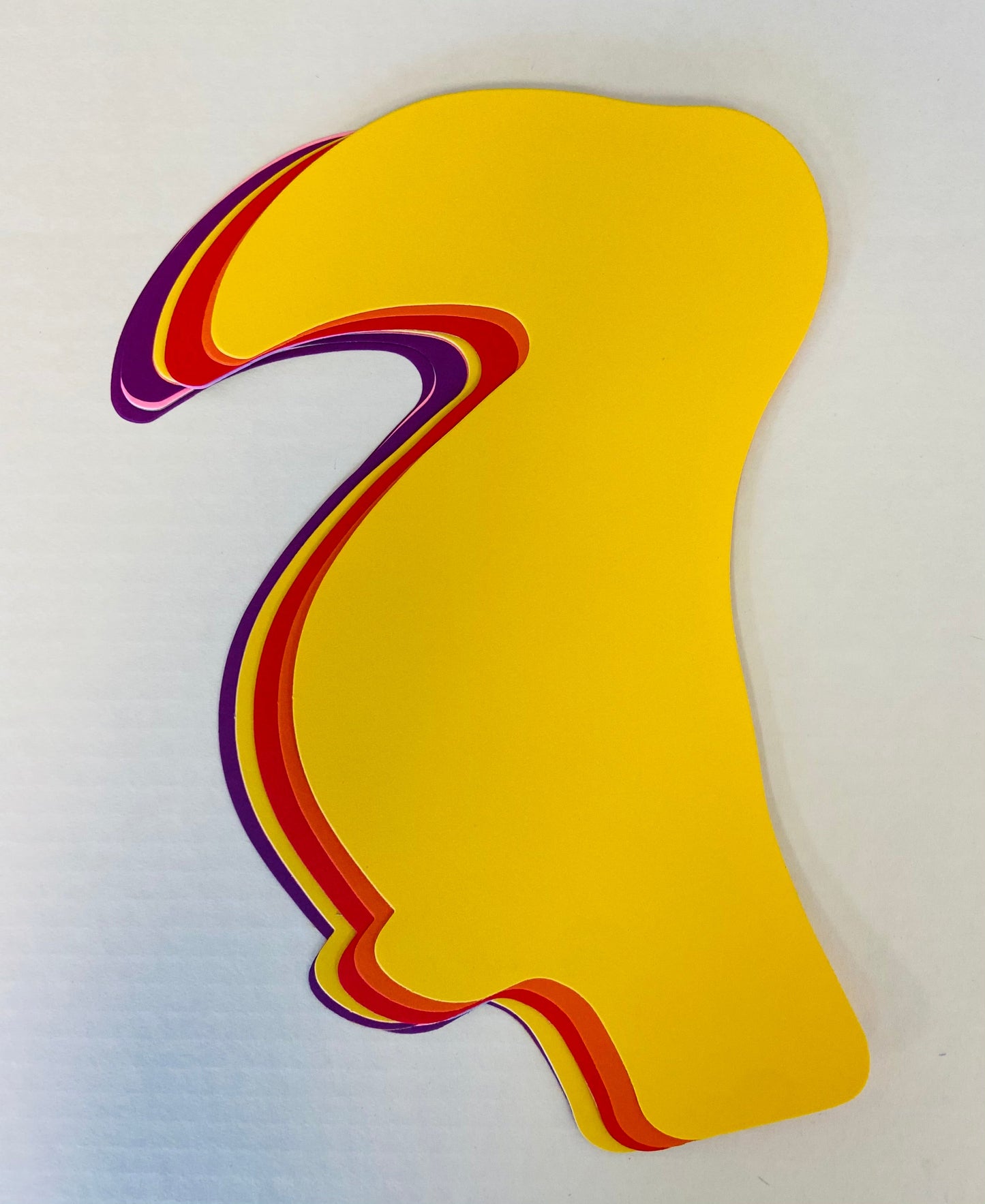 SHAPES ETC. Toucan Assorted Color Super Cut-Outs- 8” x 10”-0
