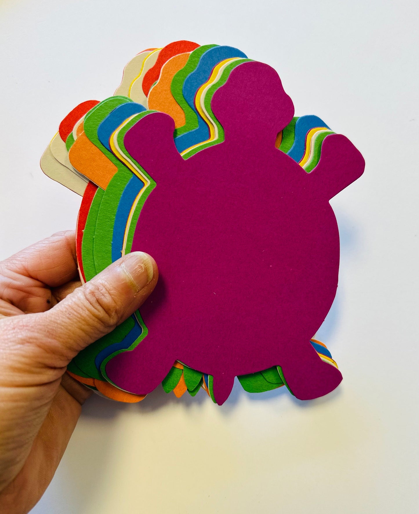 SHAPES ETC. Turtle Assorted Color Creative Cut-Outs- 5.5"-1