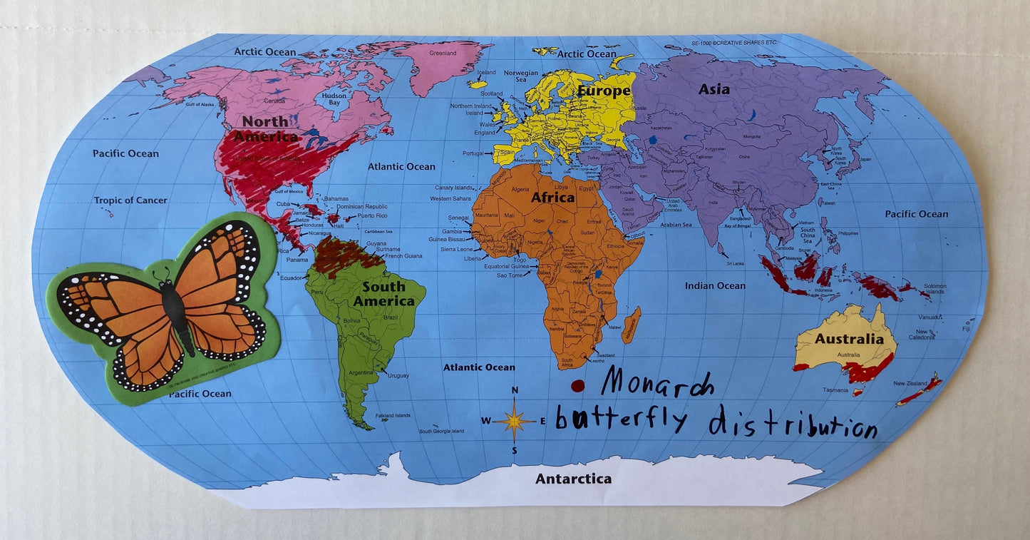 SHAPES ETC. World Practice Map Combo Pack- 8” x 16”-4