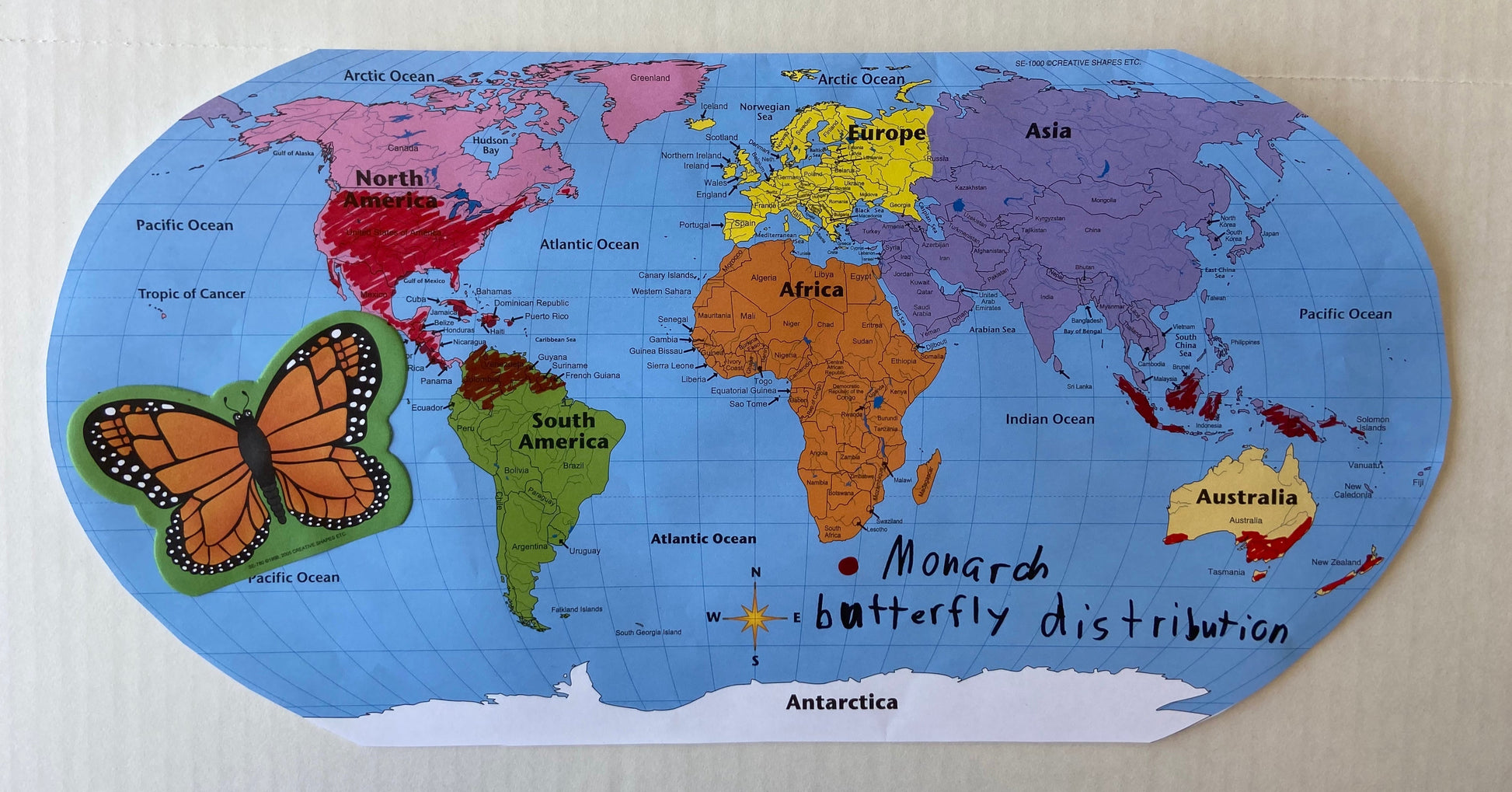 SHAPES ETC. World Practice Map Combo Pack- 8” x 16”-4