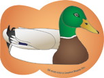 SHAPES ETC. Mini Notepad - Mallard Duck-0