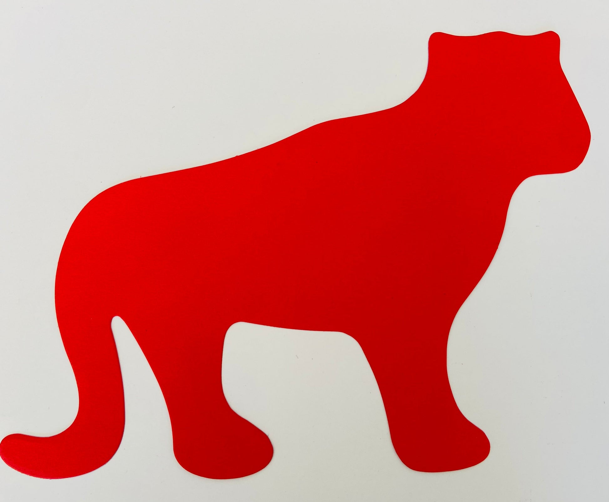 SHAPES ETC. Tiger Assorted Color Super Cut-Outs- 8” x 10”-2
