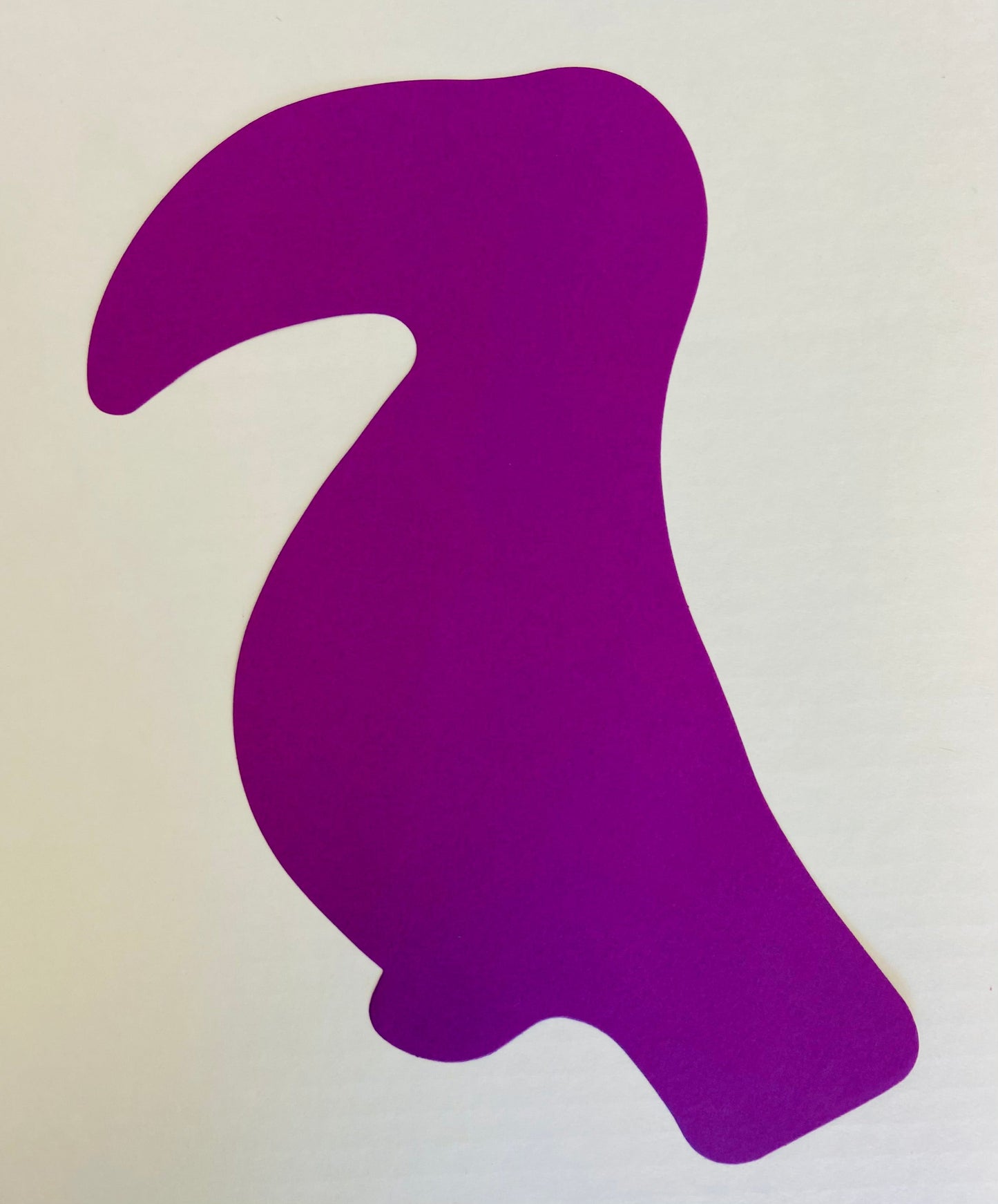 SHAPES ETC. Toucan Assorted Color Super Cut-Outs- 8” x 10”-2